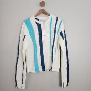 NWT Stitches & Stripes Blue Chunky Knit Striped Sweater Crewneck L Cozy